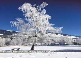 Wonderful Apartment With Infrared in Mittersill