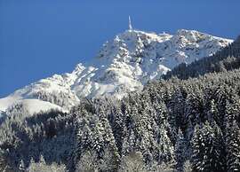 Spacious Apartment in Uderns near Ski Area