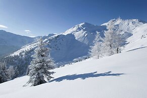Stylish Flats in Uderns Near Ski Lifts