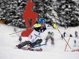 Charming Apartment in Kitzbuhel