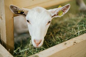 Cosy Holiday Flat With Garden in Wenns