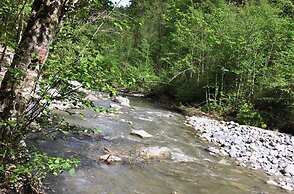 Cosy Holiday Flat With Garden in Wenns