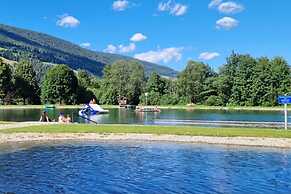 Chalet in Stadl an der Mur With Sauna