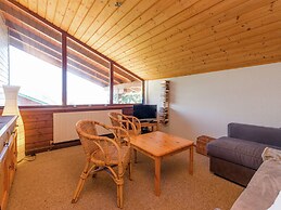 Quaint Holiday in Gröbming near Skiing