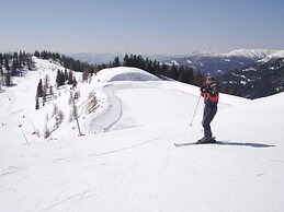 Cozy Holiday Home in Carinthia near Ski Area