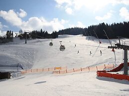 Chalet Only 200 m From ski Lift With Sauna