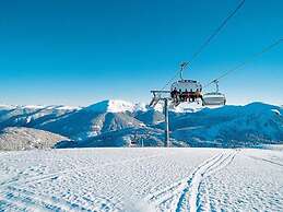 Chalet in Styria With Infrared Sauna