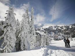 Chalet in Styria With Infrared Sauna