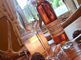 Chalet in Styria With Infrared Sauna