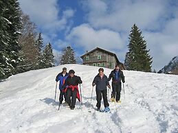 Chalet in Sibratsgfall Near Ski Slopes