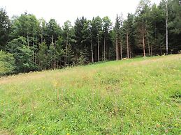 Quiet Holiday Home Near ski Resort