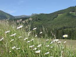 Chalet in Hohentauern With In-house Wellness