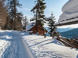 Apartment in Rennweg am Katschberg Near ski Area