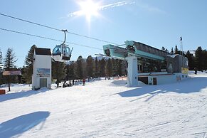 Wooden Chalet in Hohentauern With Sauna