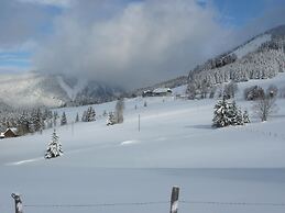 Nice Chalet in Hohentauern / Styria With Sauna