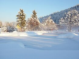 Attractive Chalet in Gaschurn With Sauna