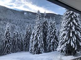 Mountain View Apartment in Bad Kleinkirchheim near Ski Area