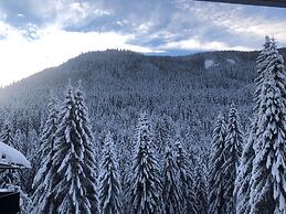 Mountain View Apartment in Bad Kleinkirchheim near Ski Area