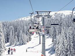 Mountain View Apartment in Bad Kleinkirchheim near Ski Area