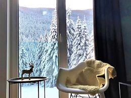 Mountain View Apartment in Bad Kleinkirchheim near Ski Area