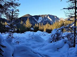 Chalet in Hohentauern With Sauna and hot tub