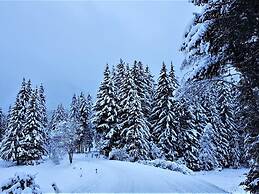 Chalet in Hohentauern With Sauna and hot tub