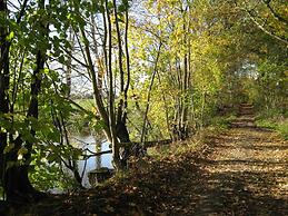 Holiday Home in Viroinval With Sauna