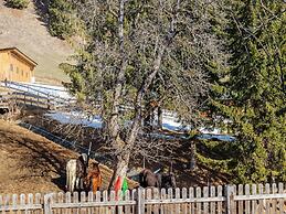 Welcoming Holiday Home near Ski Area in Rangersdorf