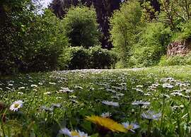 Hastiere Meuse Valley View