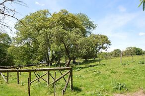 Holiday Home in La Rouge Miniere With Garden