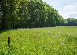 Holiday Home in La Rouge Miniere With Garden