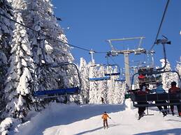 Ski-in/ski-out Apartment at Nassfeld in Carinthia