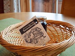 Apartment Near the ski Area