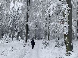 Holiday Home With Private Pool and Deer Park