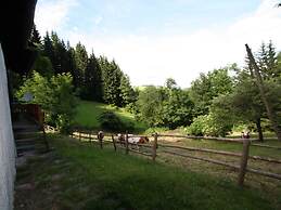 Spacious Chalet with Sauna near Ski Area in Wolfsberg