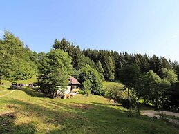 Spacious Chalet with Sauna near Ski Area in Wolfsberg