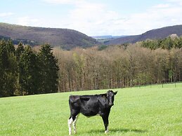 Villa in Freyneux With Garden