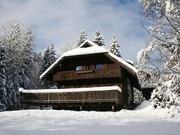 Very Spacious, Detached Holiday Home in Carinthia near Skiing & Lakes
