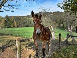 Rustic House With Sunroom
