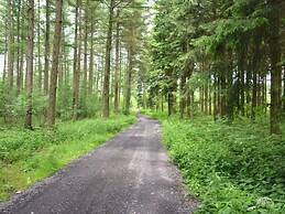 Farmhouse in Houffalize With Terrace