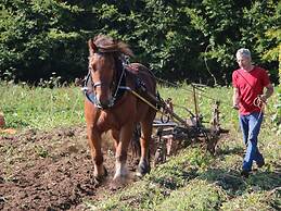 Farmhouse in Houffalize With Terrace