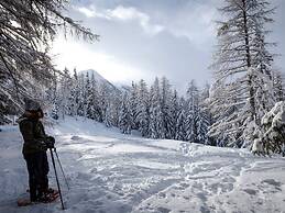 Comfortable Chalet in La Tzoumaz