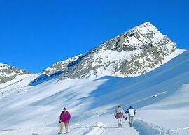 Comfortable Chalet in La Tzoumaz