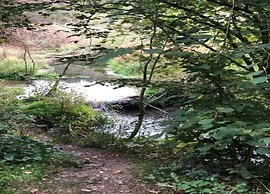 Luxury Pet Friendly Chalet in Bièvre near Forest