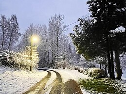 Cozy Holiday Home near Ski Area in Javorník