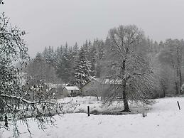 Spacious House With Sunny Garden