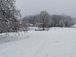 Spacious House With Sunny Garden