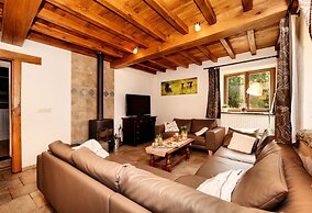 Forest-edge Stay, Burtonville