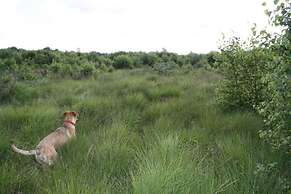 Villa in Robertville Near Town Center