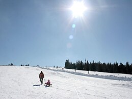 Beautiful Holiday Home in Weinebene With Sauna